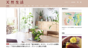 観葉植物のある心地よい暮らし。天然生活WEBでRIKAが語る『鉢を選ぶ文化』
