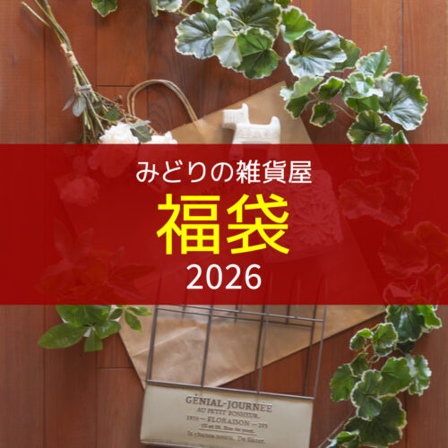 【再販売】みどりの雑貨屋☆HappyBag2026〈直営店共通〉